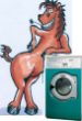 Pferd_auf_Waschmaschine.jpg
